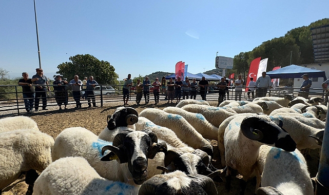 BAŞKAN ÇERÇİOĞLU ÜRETİCİLERİN HER ZAMAN YANINDA